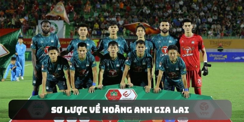 Giới thiệu sơ lược về câu lạc bộ Hoàng Anh Gia Lai