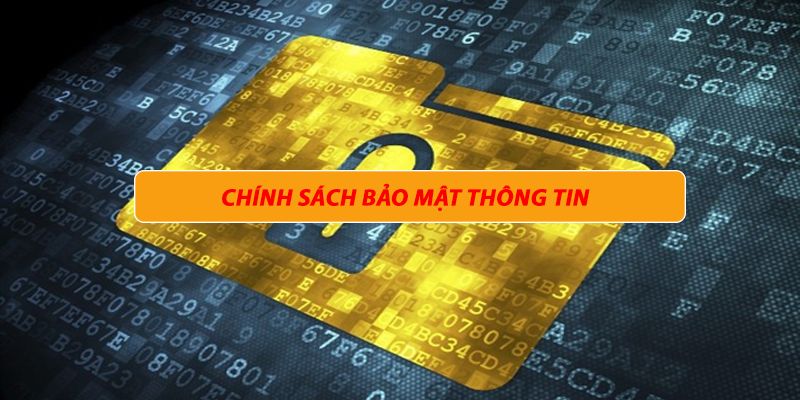 Mục đích sử dụng thông tin của trang web bóng đá